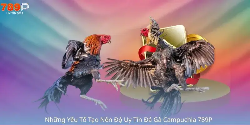 Những Yếu Tố Tạo Nên Độ Uy Tín Đá Gà Campuchia 789P